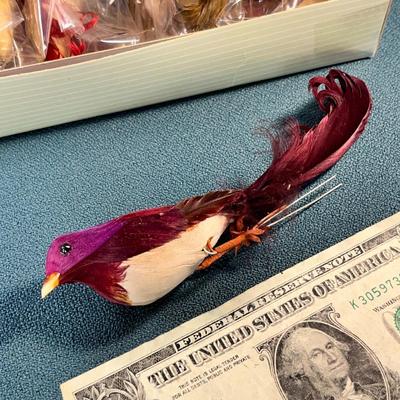 REAL FEATHER EXOTIC BIRD ORNAMENTS 12 COUNT NEW IN PACKAGE