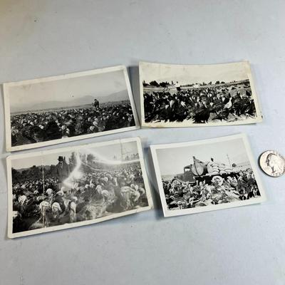 EARLY PHOTOS OF TURKEY FARM 4 PIECES