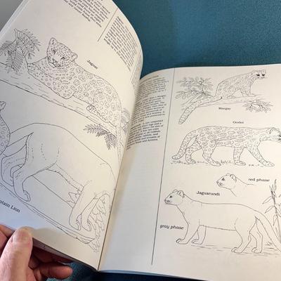 PETERSON FIELD GUIDE COLORING BOOKS "MAMMALS" LEARN HOW ANIMALS ARE COLORED THEN COLOR THEM!