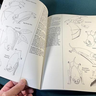 PETERSON FIELD GUIDE COLORING BOOKS "MAMMALS" LEARN HOW ANIMALS ARE COLORED THEN COLOR THEM!