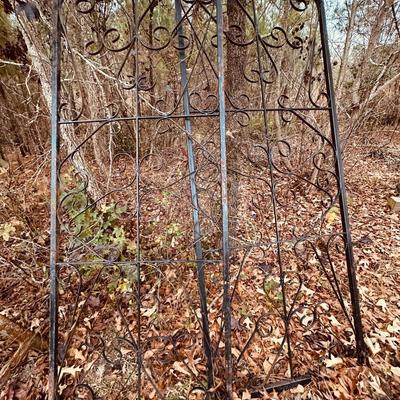 Architectural Salvage Black Iron Door Pair