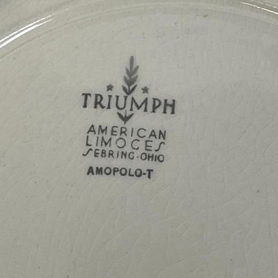 Vintage American Limoges Poppies 2 dinner plates,3 flat bowls, 5 bowls
