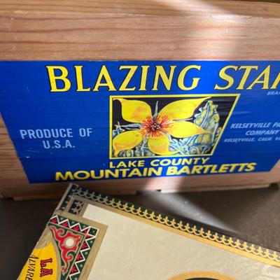 Lot of collectibles