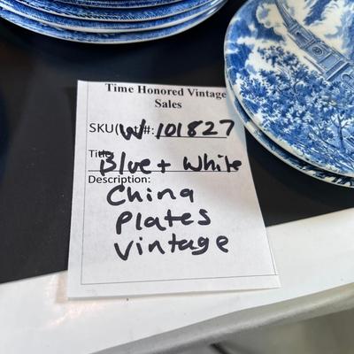 Blue White Plates