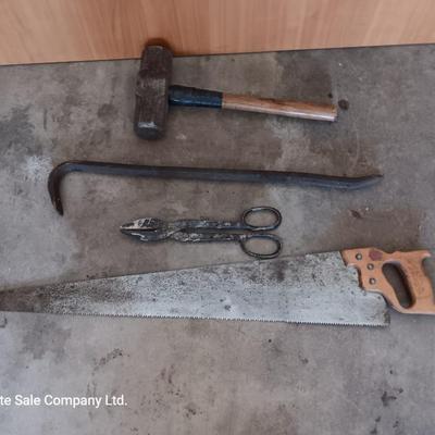 Sledgehammer - crowbar - large sheers- and a hand saw