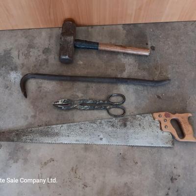 Sledgehammer - crowbar - large sheers- and a hand saw