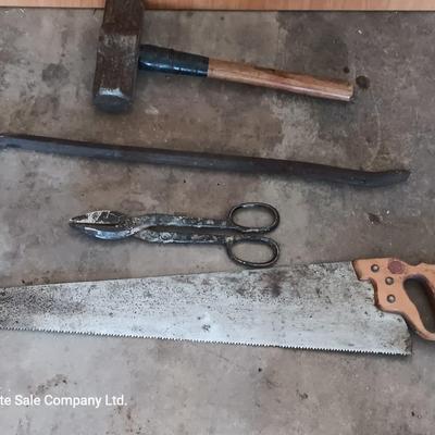 Sledgehammer - crowbar - large sheers- and a hand saw