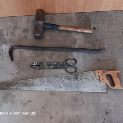 Sledgehammer - crowbar - large sheers- and a hand saw