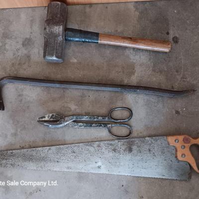 Sledgehammer - crowbar - large sheers- and a hand saw