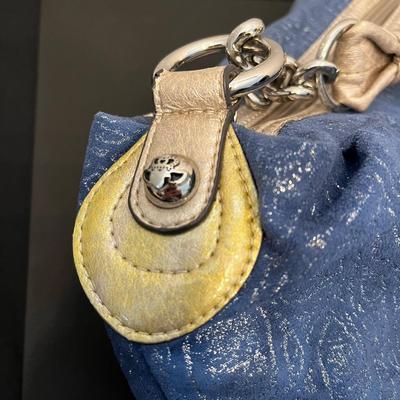 Kathy Van Zeeland Purse - Blue & Gold