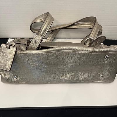 Tignanello Metallic Purse