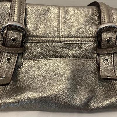 Tignanello Metallic Purse