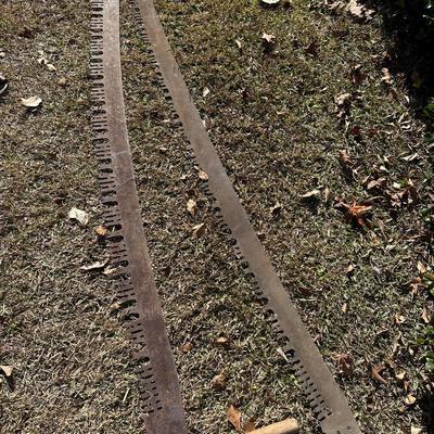 ANTIQUE CROSSCUT SAW LOT