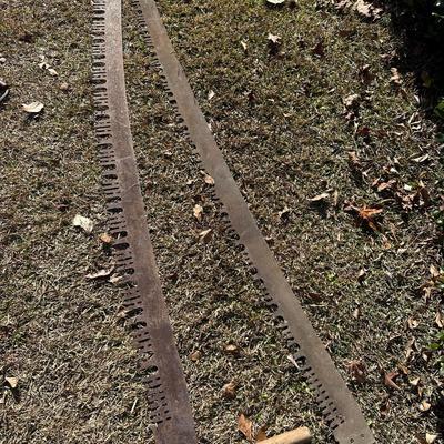 ANTIQUE CROSSCUT SAW LOT