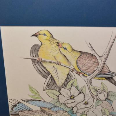 Original Art Pencil Drawing Mourning Doves Measures 23"X19"