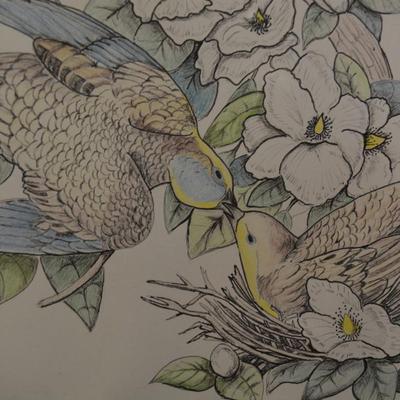 Original Art Pencil Drawing Mourning Doves Measures 23"X19"