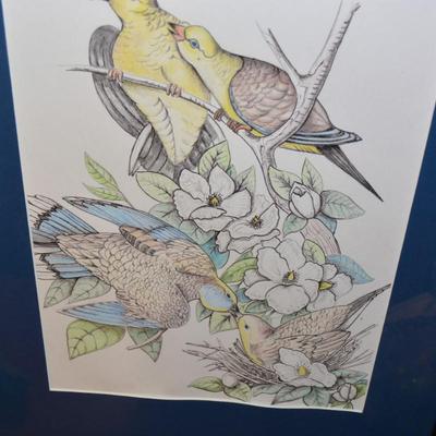 Original Art Pencil Drawing Mourning Doves Measures 23"X19"