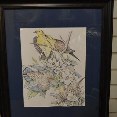Original Art Pencil Drawing Mourning Doves Measures 23"X19"