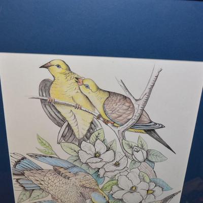 Original Art Pencil Drawing Mourning Doves Measures 23"X19"