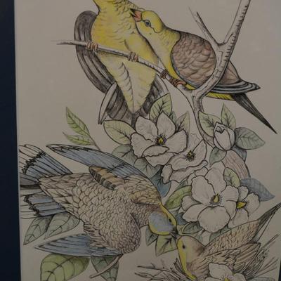 Original Art Pencil Drawing Mourning Doves Measures 23"X19"