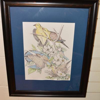 Original Art Pencil Drawing Mourning Doves Measures 23"X19"