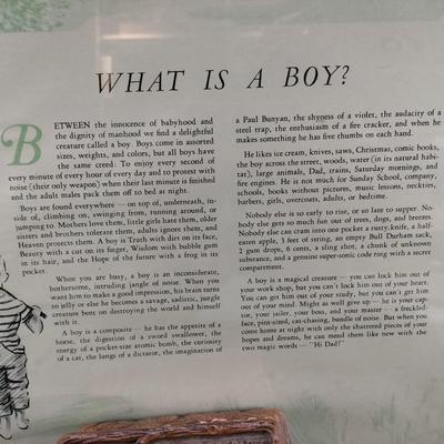 Framed "What is a Boy" Picture & Boy Scout Box