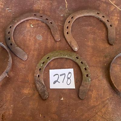 Draft Horse Shoes
