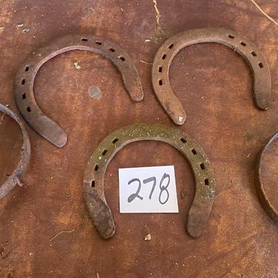 Draft Horse Shoes