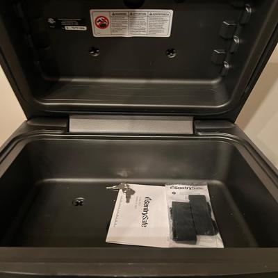 Metal File Cabinets & Sentry Safe (DR-MG)