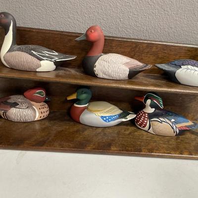 Avon Duck Series on shelf