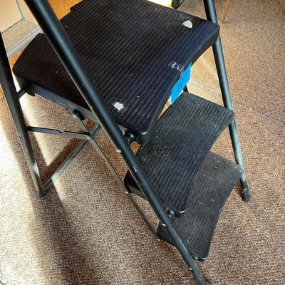 Large Step stool