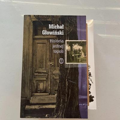 Lot of 10 Books - Polish Authors