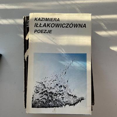 Lot of 10 Books - Polish Authors