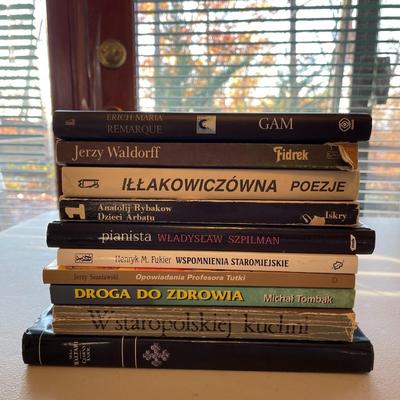 Lot of 10 Books - Polish Authors