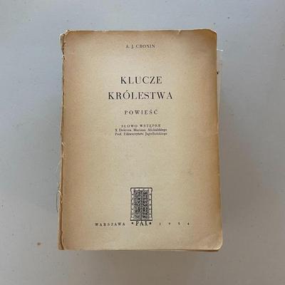 Lot of 10 Books - Polish Authors.