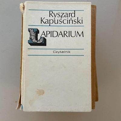Lot of 10 Books - Polish Authors.