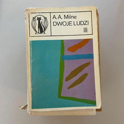 Lot of 10 Books - Polish Authors.