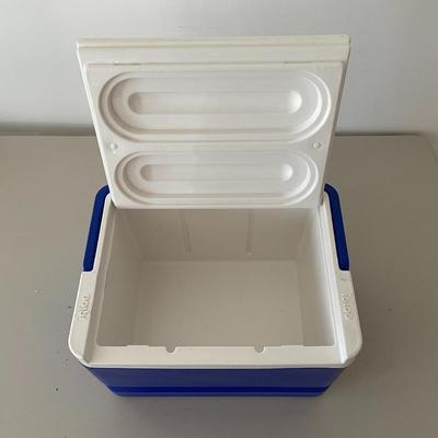Cooler by Igloo