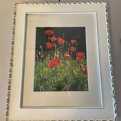 Print - Filed of Flowers