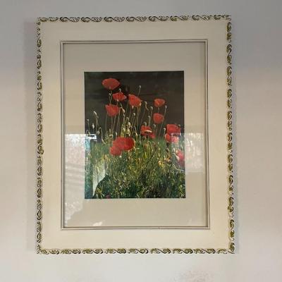 Print - Filed of Flowers