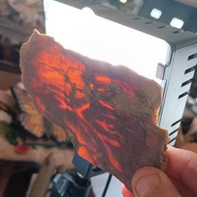 Rock collection - agate slabs - shales and more