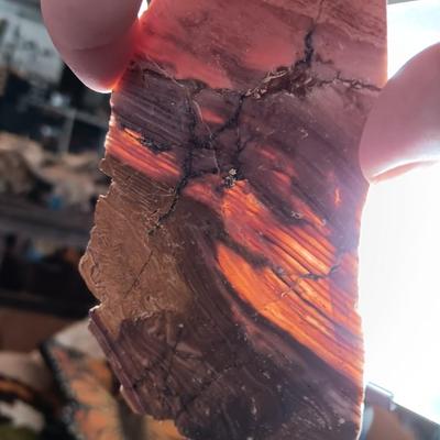 Rock collection - agate slabs - shales and more