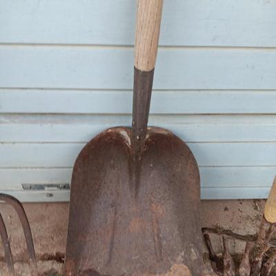 Yard and Garden farm tools - scoop shovel - potato fork - antique garden harrow