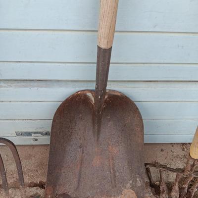 Yard and Garden farm tools - scoop shovel - potato fork - antique garden harrow