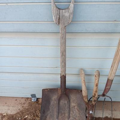 Two antique shovels with wood handles an old pitchfork and some trimmers