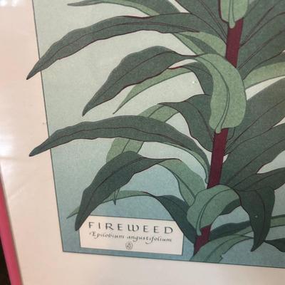 Framed flower print - Fireweed plant -