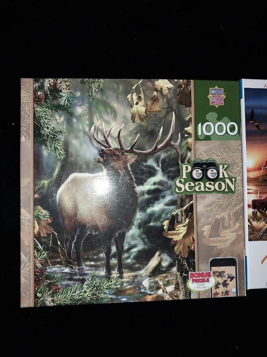 TWO 1000 PIECE JIGSAW PUZZLES