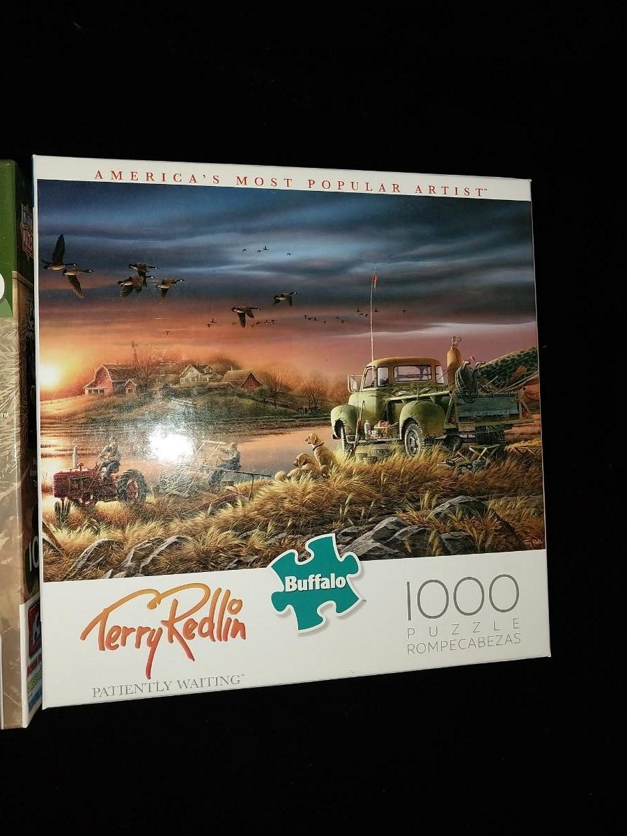 TWO 1000 PIECE JIGSAW PUZZLES