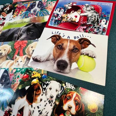 ASSORTMENT OF 12 GREETING CARDS FROM HUMANE SOCIETY, VARIOUS OCCASIONS w/ENVELOPES
