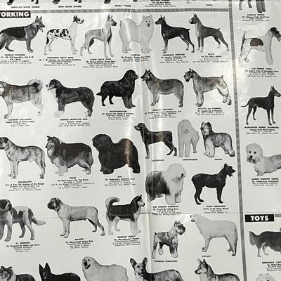 "DOG WORLD'S ALL BREED PICTORIAL" POSTER